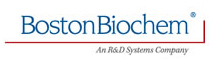 美國(guó) Boston Biochem 