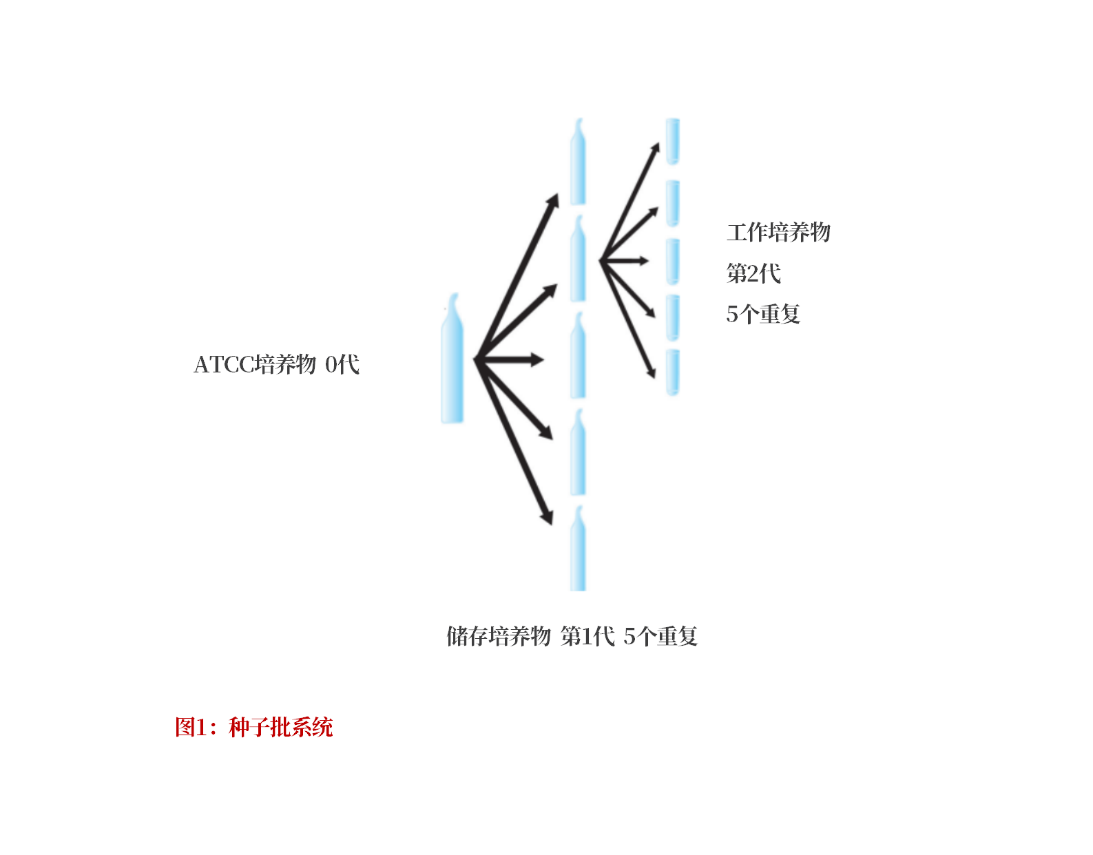 ATCC菌株復(fù)蘇算不算傳代？種子批系統(tǒng)+5代傳代法則破解實驗室管理難題