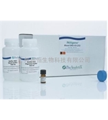 Qiagen761133 PAXgene Blood DNA Kit/Qiagen全血DNA純化試劑