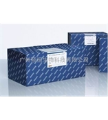 Qiagen51604 QIAamp Fast DNA Stool Mini Kit/Qiagen糞