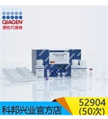 52904 50次 QIAamp Viral RNA Mini 病毒RAN純化 50次