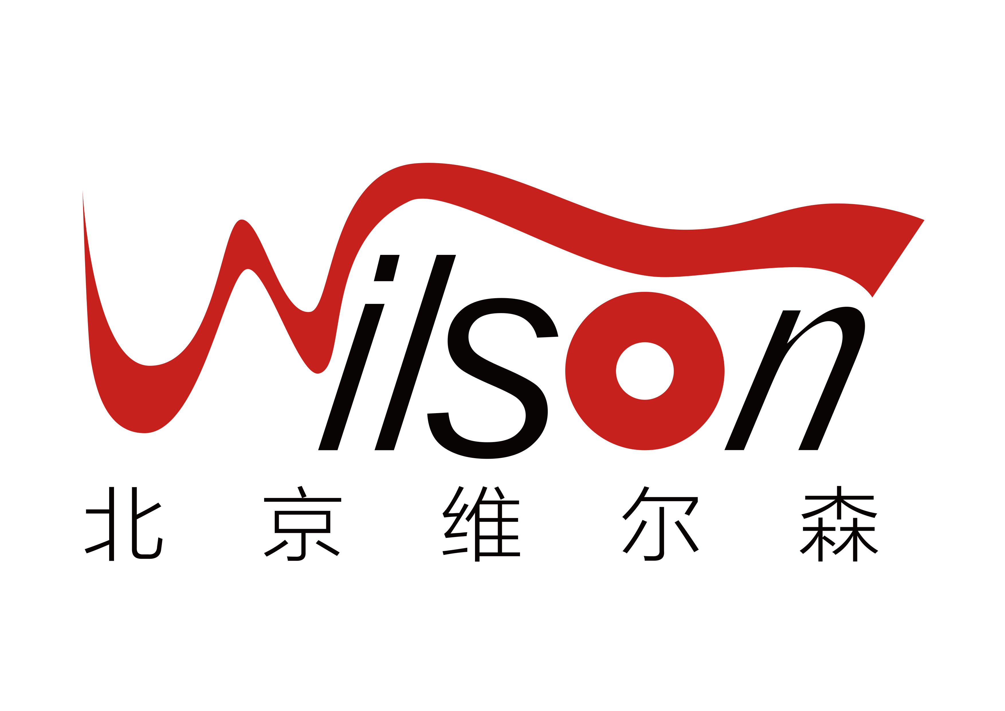 北京維爾森科技發(fā)展有限公司LOGO